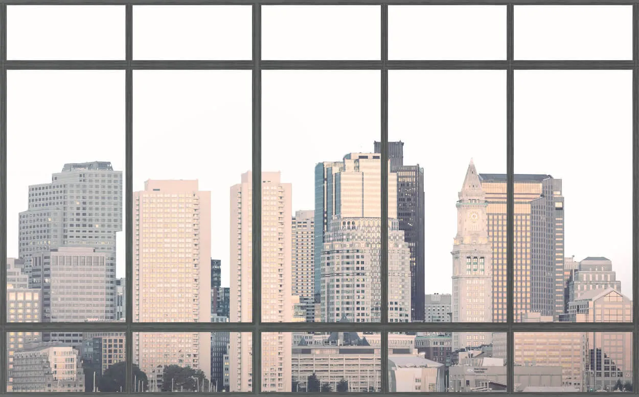 Skyscraper Window